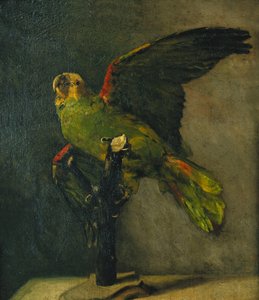 A zöld papagáj; A zöld papagáj, 1885 alkotó: Vincent van Gogh