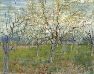 A rózsaszín gyümölcsös, avagy Gyümölcsös virágzó kajszifákkal alkotó: Vincent van Gogh