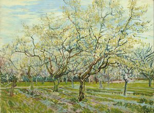 A fehér gyümölcsös alkotó: Vincent van Gogh
