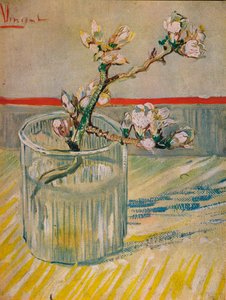 Mandula virágzó szár, 1888 alkotó: Vincent van Gogh