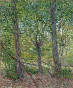 Fák alkotó: Vincent van Gogh