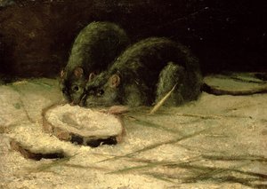 Két patkány, 1884 körül alkotó: Vincent van Gogh