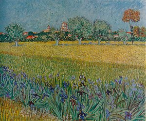 Ales látképe virágzó íriszekkel, 1888 alkotó: Vincent van Gogh