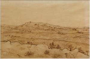 A Crau kilátása alkotó: Vincent van Gogh
