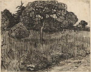 Könnyező fa alkotó: Vincent van Gogh