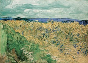 Búzamező búzavirággal alkotó: Vincent van Gogh