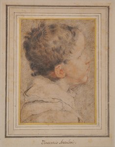 Boy feje alkotó: Vincenzo Ansaloni
