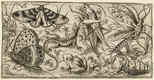 Rovarok és állatok csoportja sík, füves talajon..., 1530 - 1562. alkotó: Virgil Solis