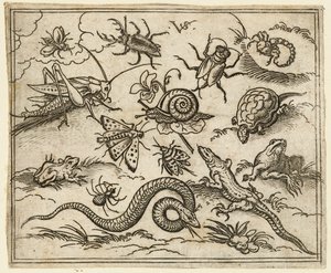 Rovarok és hüllők csoportja sziklákkal teli, sík talajon, köztük leguán, gyík..., 1557.