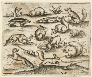 Kis erdei lények csoportja, akik esznek és futnak egy tóban, köztük egy egér..., 1557.