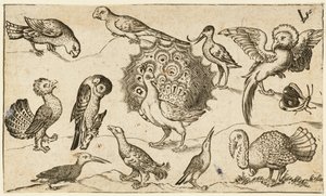 Páva a közepén, körülötte kilenc másik madár, köztük egy pulyka és egy pillangó..., 1572.