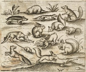 Kis erdei lények csoportja eszik és szaladgál egy tóban, köztük egerek, nyúl, mókus, mosómedve, erdei torok, görény, nyest és borz, a Douce Ornament Prints I. albumából alkotó: Virgilius the elder (after) Solis