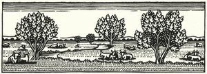 Illusztráció: Tess Of The D’Urbervilles, Thomas Hardy (metszet)
