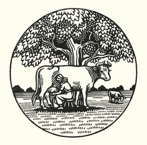 Illusztráció: Tess Of The D’Urbervilles, Thomas Hardy (metszet)