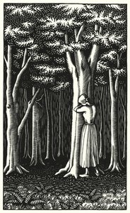 Illusztráció: Tess Of The D’Urbervilles, Thomas Hardy (metszet)