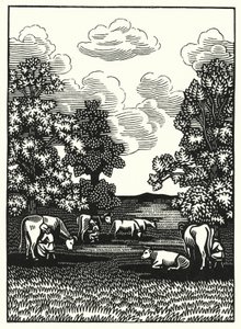 Illusztráció: Tess Of The D’Urbervilles, Thomas Hardy (metszet)