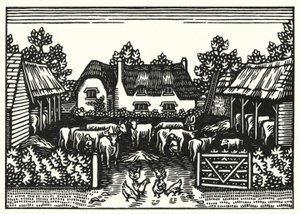 Illusztráció: Tess Of The D’Urbervilles, Thomas Hardy (metszet)