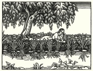 Illusztráció: Tess Of The D’Urbervilles, Thomas Hardy (metszet)