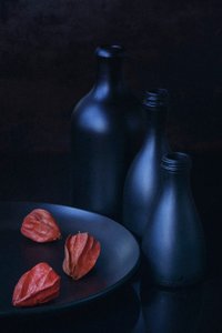 Physalis és kék üvegek alkotó: Vladimir Pavlovskyy