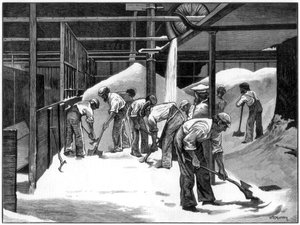 Cukorgyártás a Counterslip finomítóban, Bristol, 1873. alkotó: WB Murray