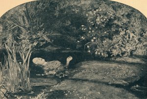 „Ophelia”, 1852, 1935. alkotó: WF Mansell