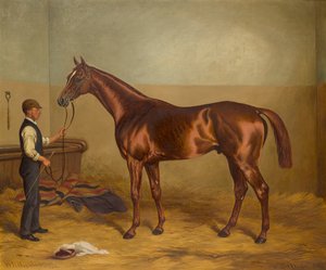 Sir Hugo háromévesként, amelyet Vőlegény tartott egy istállóban, 1875-92 körül (olaj, vászon) alkotó: W.H. Hopkins