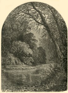„Moss Islands, in the Juniata”, 1874.