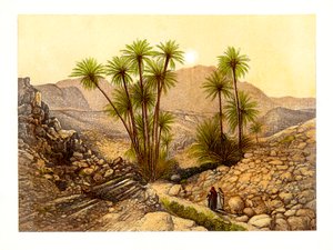 A Sínai-sivatag, Egyiptom, 1870.