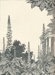Illusztráció: Szentivánéji álom, 1914, 1925. alkotó: William Heath Robinson