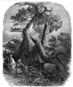 Fametszet példánya, Niobe gyermekeinek halála, ...1844.