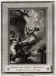 Perdix, Daedalus unokaöccse, aki Partridge-vé változott, 1774