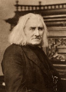 Liszt Ferenc (1811-1886) későbbi magyar zongoraművész és zeneszerző. Mélynyomás W & D Downey fényképe után, London (fotogravúr)