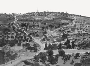Olajfák hegye, Jeruzsálem, Palesztina, 1895.