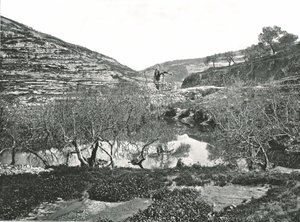 Siloám medencéje, Jeruzsálem, Palesztina, 1895. alkotó: W and S Ltd