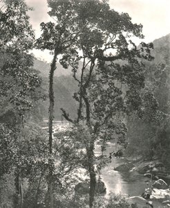 Kilátás a Kelani folyóra, Kurunegala, Ceylon, 1895. alkotó: W and S Ltd
