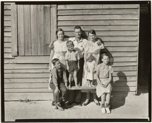 Sharecropper