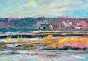 „Connecticut Marshes”, 1868-1917