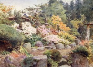 Sziklakert a Nikko-nál, a Cosmos-nál és a Maple-nél alkotó: Walter Frederick Roofe Tyndale