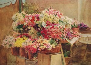 Virágbódé a Mentone piacon, 1910, 1912