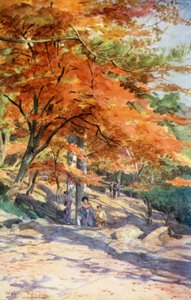 Juharok Omoriban, Tokió mellett alkotó: Walter Frederick Roofe Tyndale