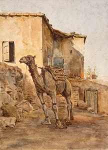Tethered Camel (akvarell) alkotó: Walter Frederick Roofe Tyndale