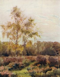 Az új erdő: Rushpole Common, a Lyndhurst Versenypálya közelében alkotó: Walter Frederick Roofe Tyndale