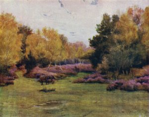 Az új erdő: Rushpole Wood, Lyndhurst (színes litho) alkotó: Walter Frederick Roofe Tyndale