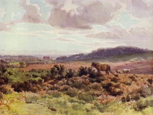 Az új erdő: Kilátás a Ringwood Road-i Picket Postból (színes litho) alkotó: Walter Frederick Roofe Tyndale