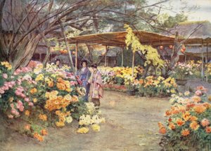 Krizantémok, Mukojima, Tokio megtekintése alkotó: Walter Frederick Roofe Tyndale