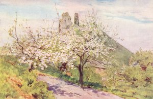 Wessex: Wessex tavasza (színes litográfia) alkotó: Walter Frederick Roofe Tyndale