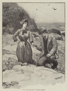 Thomas Hardy: The Pursuit of the Well Beloved