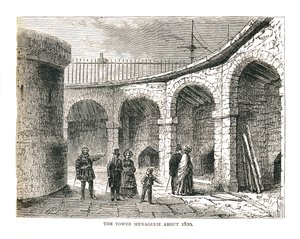 A Tower Managerie, 1878