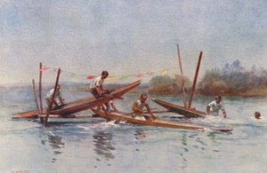 Új-Zéland: (színes litográfia)