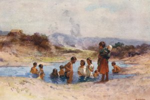 Új-Zéland: (színes litográfia)